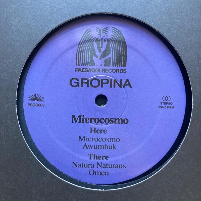 Gropina - Microcosmo [Paesaggi Records]