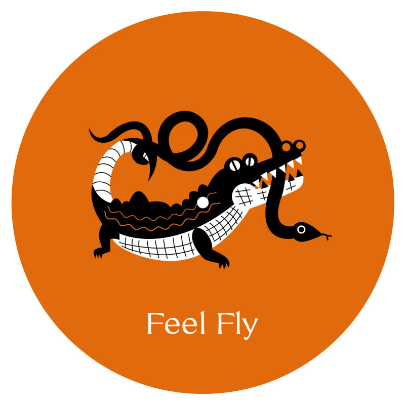Feel Fly - Cosmo Cosmo [Internasjonal]