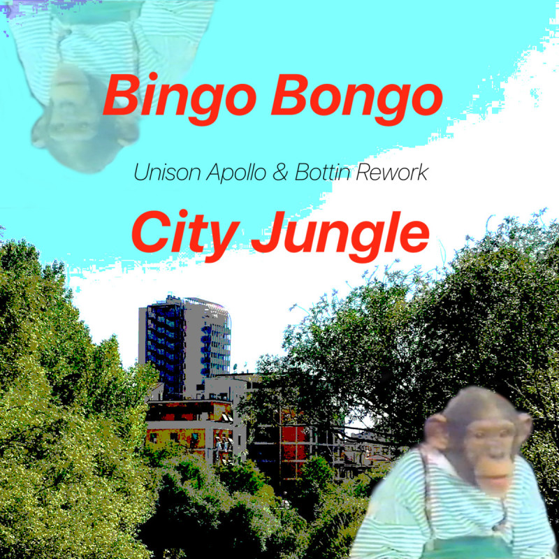 Bingo Bongo - City Jungle (Unison Apollo & Bottin Rework)