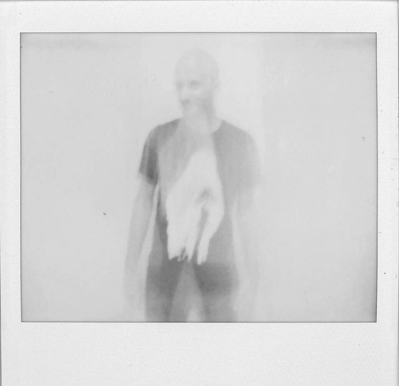 Bottin - Plastic Forgery [taken from Punica Fides]