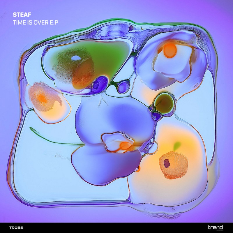 Steaf - Time Is Over [Trend Records]
