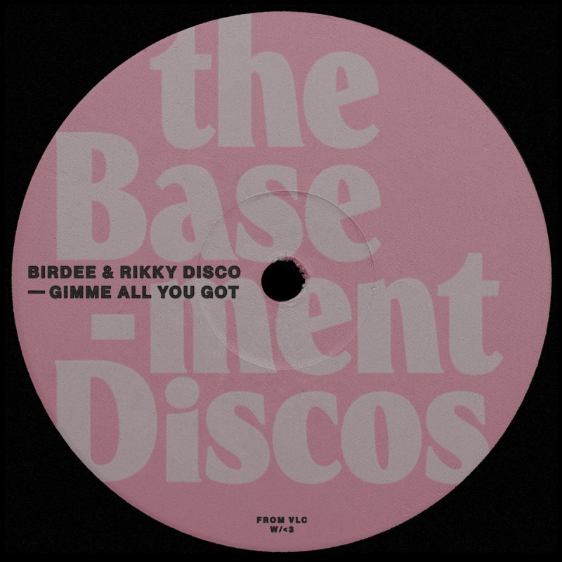 Birdee & Rikky Disco - Gimme All You Got [theBasement Discos]