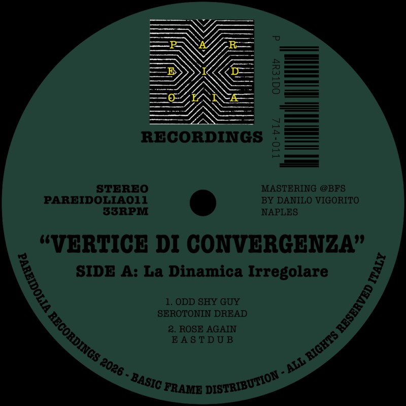 Odd Shy Guy / Rose Again / Marco Maldarella / Abo Abo - Vertice Di Convergenza [Pareidolia Recordings]